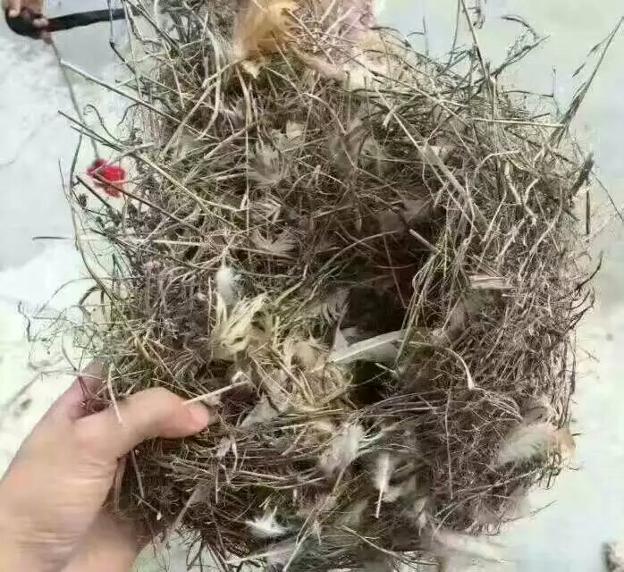 ‘bsports必一网页版’
打造品味办公室 书法字画不行少(图1) bsports必一网页版