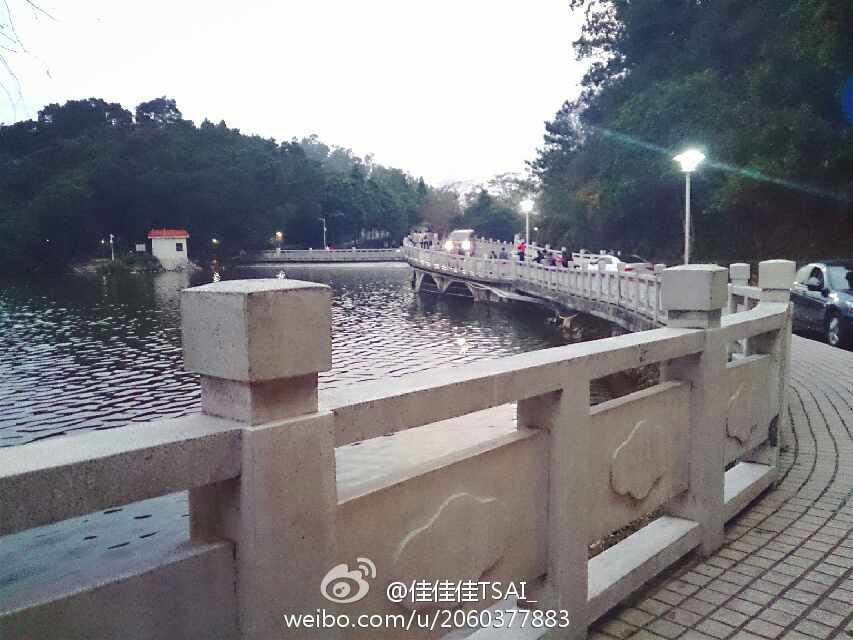 bsports必一网页版