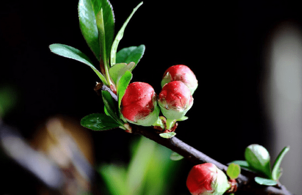 【bsports必一网页版】优美的古代短句谈心情 优美感人的句子(图11)