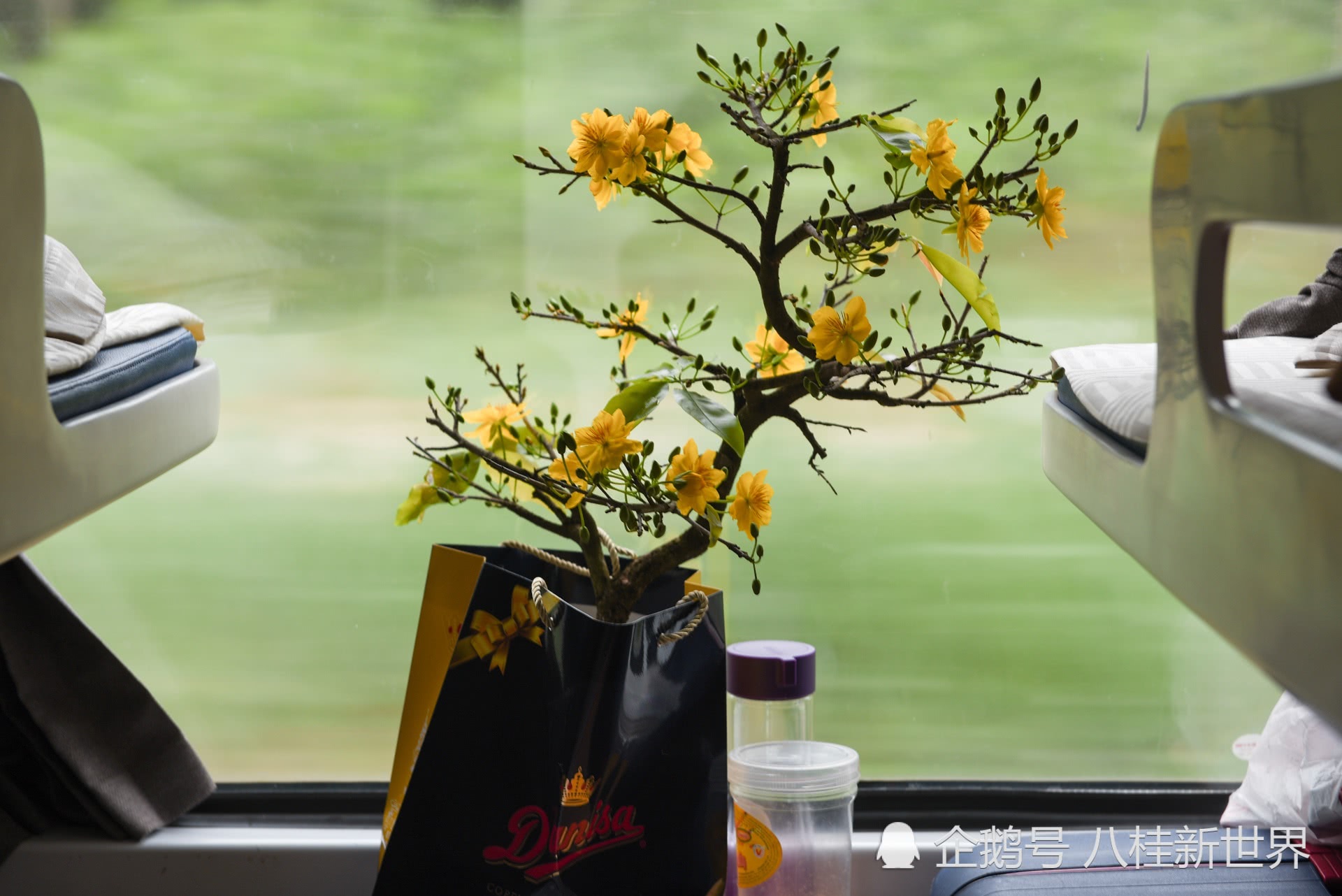 bsports必一网页版