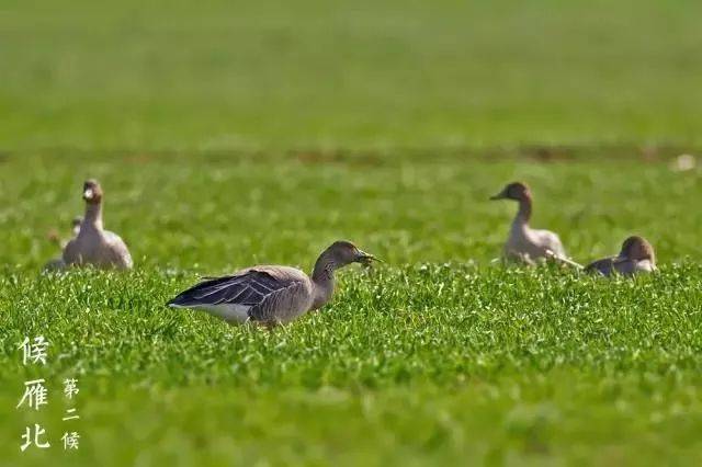 对MBR工艺的这些误解把人坑惨了!【bsports必一网页版】(图2) bsports必一网页版