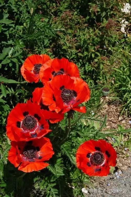 bsports必一网页版