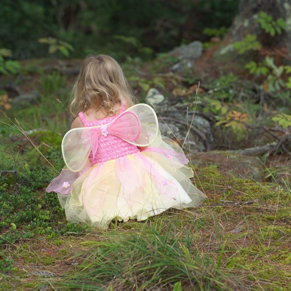 bsports必一网页版