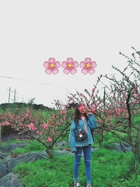 原创:睹物思人 见景生情 悲凉古风情景句子赏析 小作勿喷!‘bsports必一网页版’(图1) bsports必一网页版