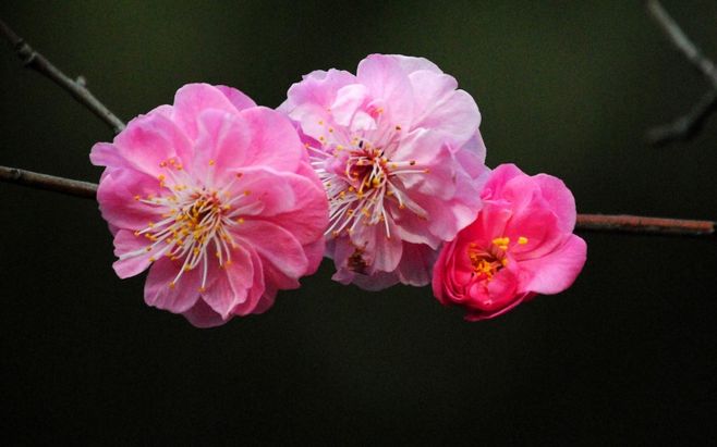 二建考试报名答疑 快看:bsports必一网页版(图1) bsports必一网页版