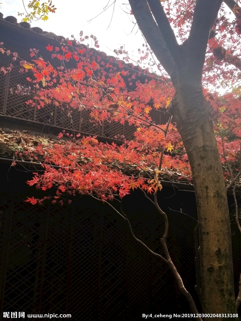 祝贺公司顺利通过情况与职业康健宁静治理体系资质认证!-bsports必一网页版(图2) bsports必一网页版