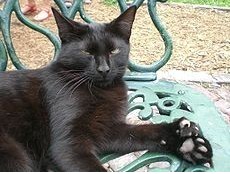 bsports必一网页版