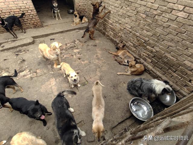 bsports必一网页版