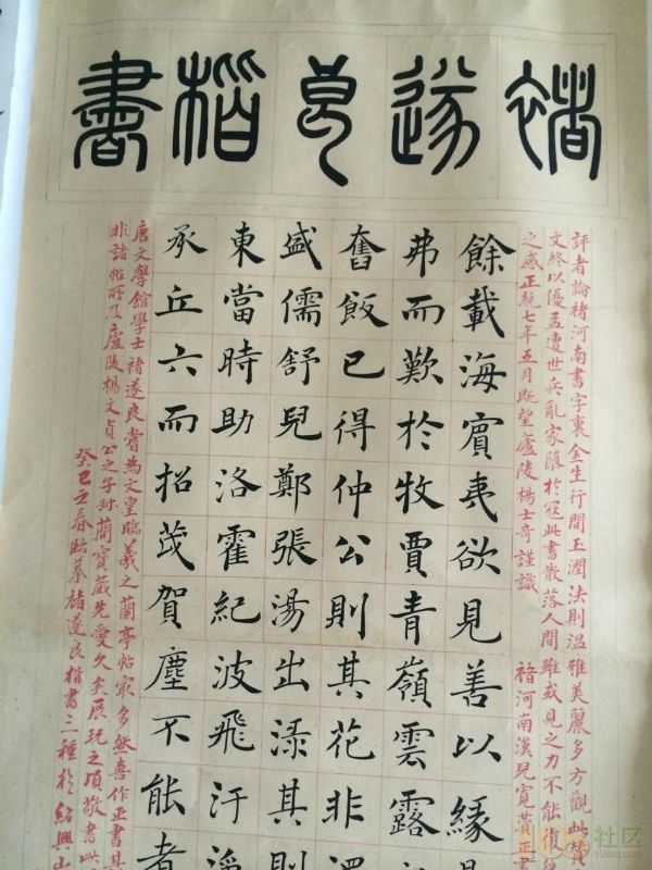 【最美林业故事】漫山油茶富乡亲:bsports必一网页版(图1) bsports必一网页版